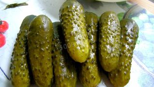 Малосольные огурцы быстрой засолки