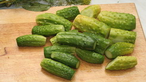 малосольные огурцы холодного засола