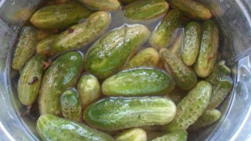 малосольные огурцы на зиму