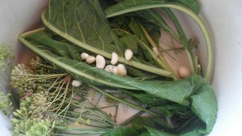 малосольные огурцы на зиму