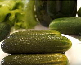 Малосольные огурцы в банке