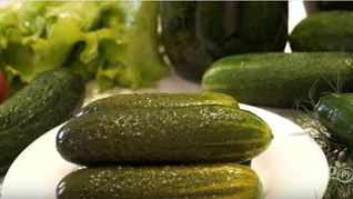 Малосольные огурцы в банке