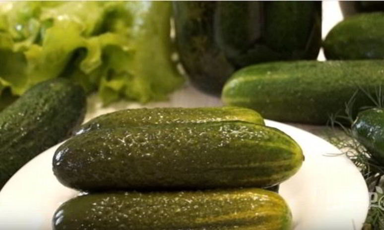 Рецепт малосольных огурцов в банке