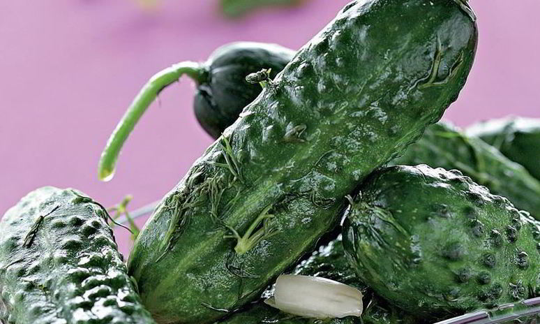 Рецепт малосольных огурцов в кастрюле