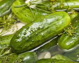 Малосольные огурцы