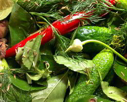 Острые малосольные огурцы на водке