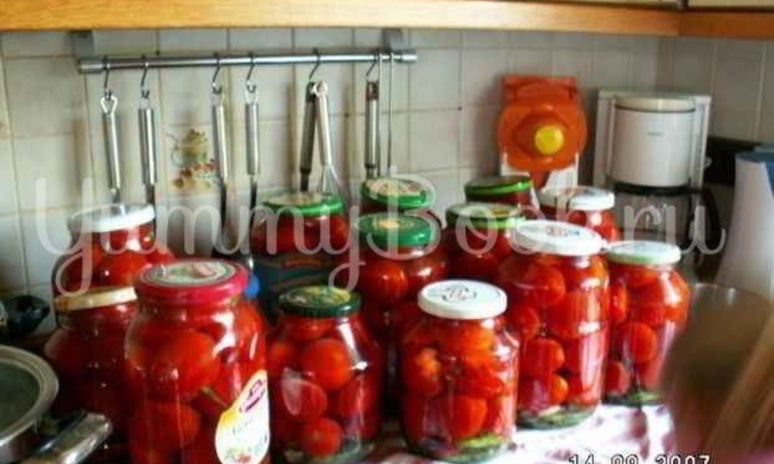 Рецепт помидоров консервированных