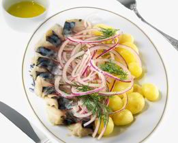 Слабосоленая скумбрия