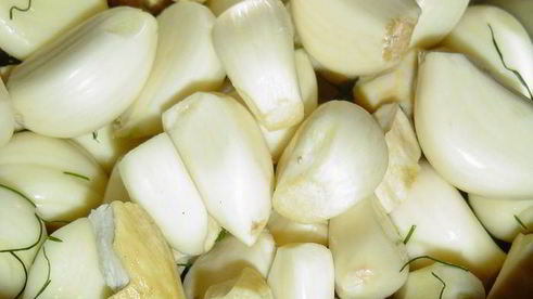 зеленые помидоры