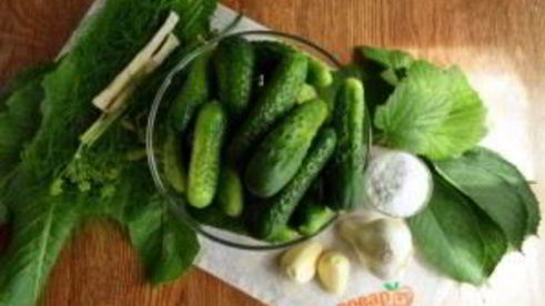 соленые огурцы на зиму в банках