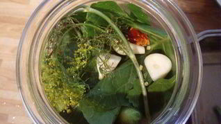 Соленые огурцы на зиму