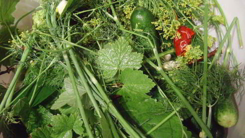 соленые огурцы на зиму