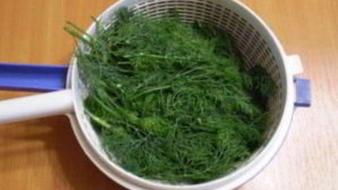 укроп на зиму