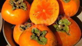 Варенье из хурмы