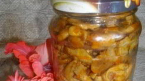 волнушки на зиму