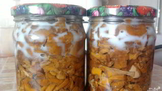 Заготовка лисичек на зиму