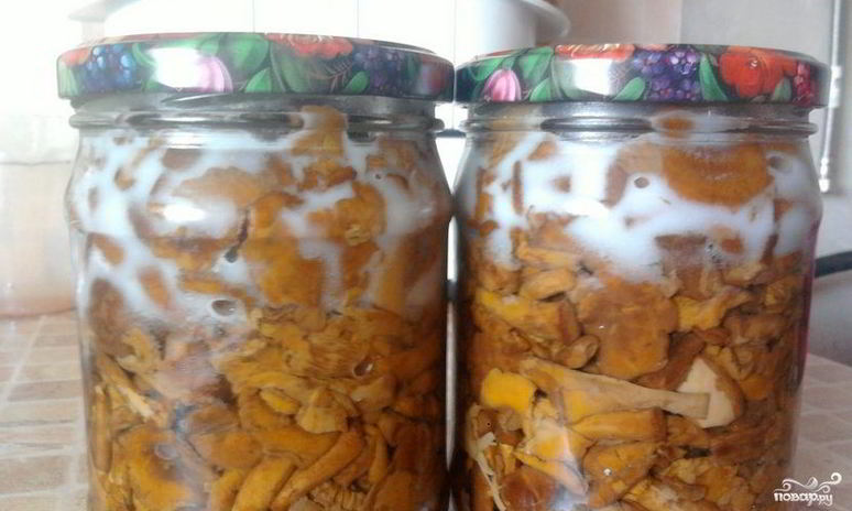 Рецепт заготовки лисичек на зиму