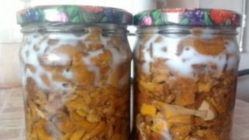 заготовка лисичек на зиму