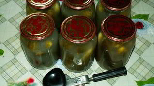 Закатка соленых огурцов на зиму