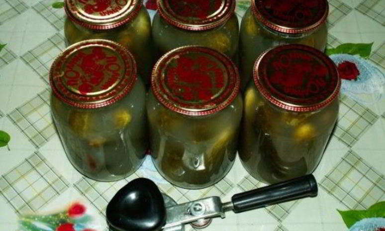 Рецепт закатки соленых огурцов на зиму