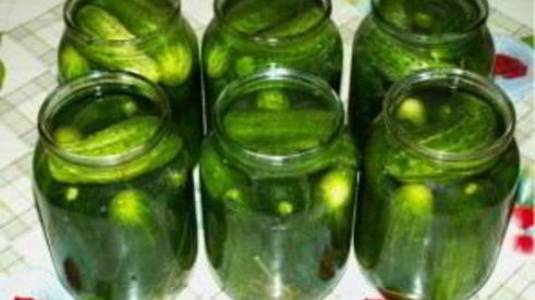 закатка соленых огурцов на зиму