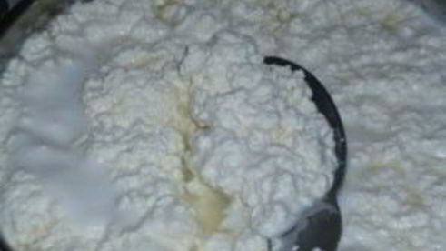 адыгейский сыр