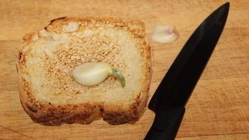 брускетта с крабом и авокадо