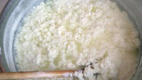 домашний сыр панир