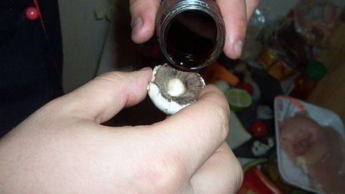 грибная закуска с морской начинкой