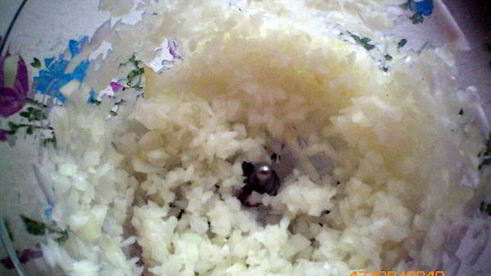 грибная икра с болгарским перцем