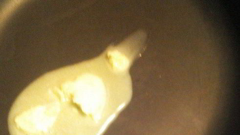 классический французский омлет с ветчиной и сыром