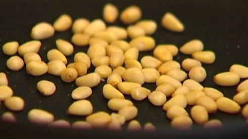 омлет де люкс со спаржей и кедровыми орехами