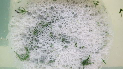 омлет из белков с зеленью