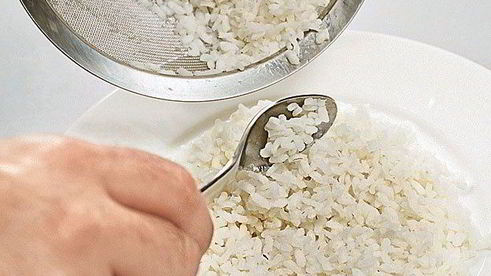 оякодон — японский омлет с рисом и курицей