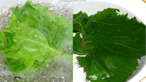 японский ролл-омлет со шпинатом