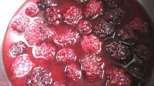 паштет из куриной печени в ежевичном желе