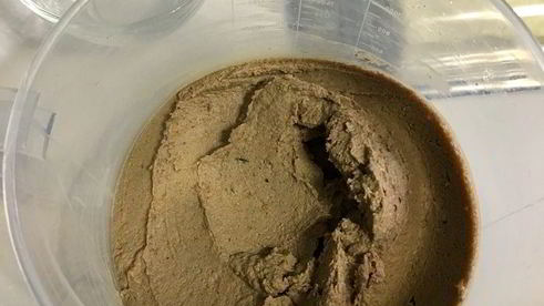 паштет из печени кролика с каштанами