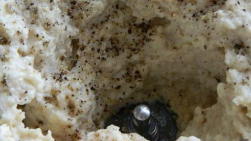 яичный паштет