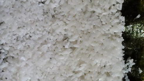 роллы home-made