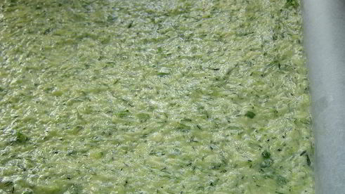 рулет из цукини с морковно-грибной начинкой