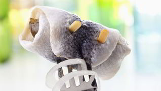 Рыбные рулеты из огурцов