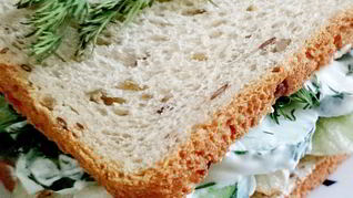 Свежий сэндвич с зеленью и огурцом