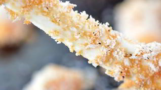 Сыр в духовке