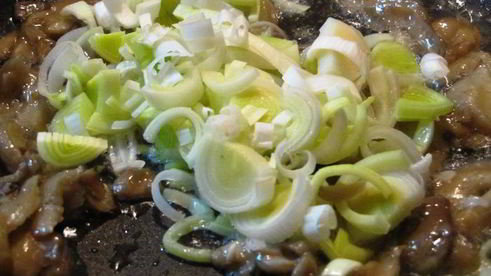 тарталетки сырные с грибами