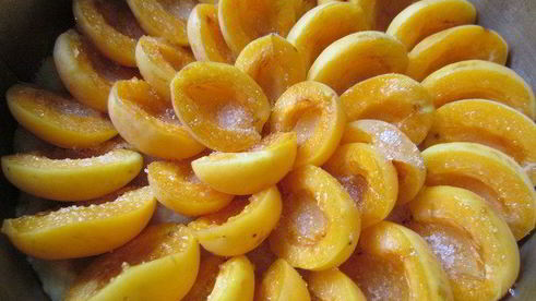 тарт абрикосовый