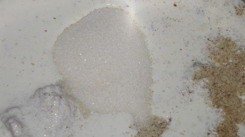 тарт с грецким орехом