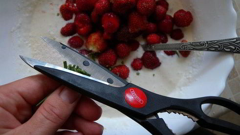 тарт с клубникой с розмарином и ежевикой с базиликом двойное удовольствие