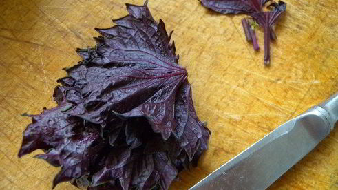 тарт с клубникой с розмарином и ежевикой с базиликом двойное удовольствие