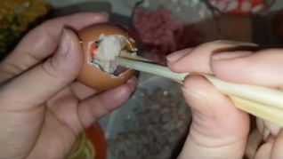 Заливные яйца