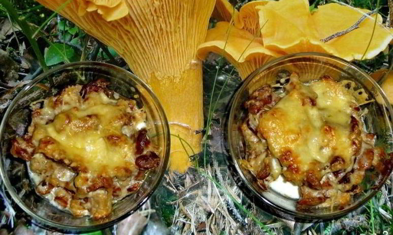 Рецепт жульена из лисичек